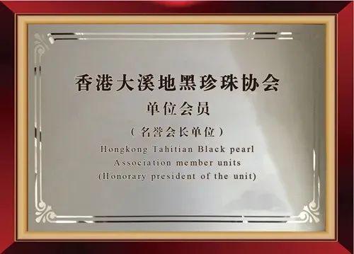 季专场不必翻遍首饰盒一颗珍珠搞定所有场合开元棋牌网站满就赠！国货珍珠之光阮仕秋(图12)